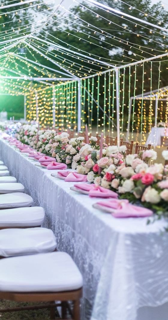 Longue table de roses sous un tunnel de guirlandes lumineuses